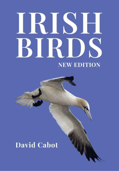 Irish Birds