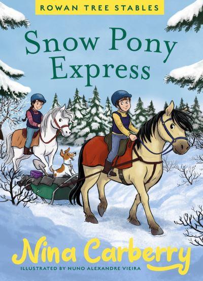 Rowan Tree Stables: Snow Pony Express